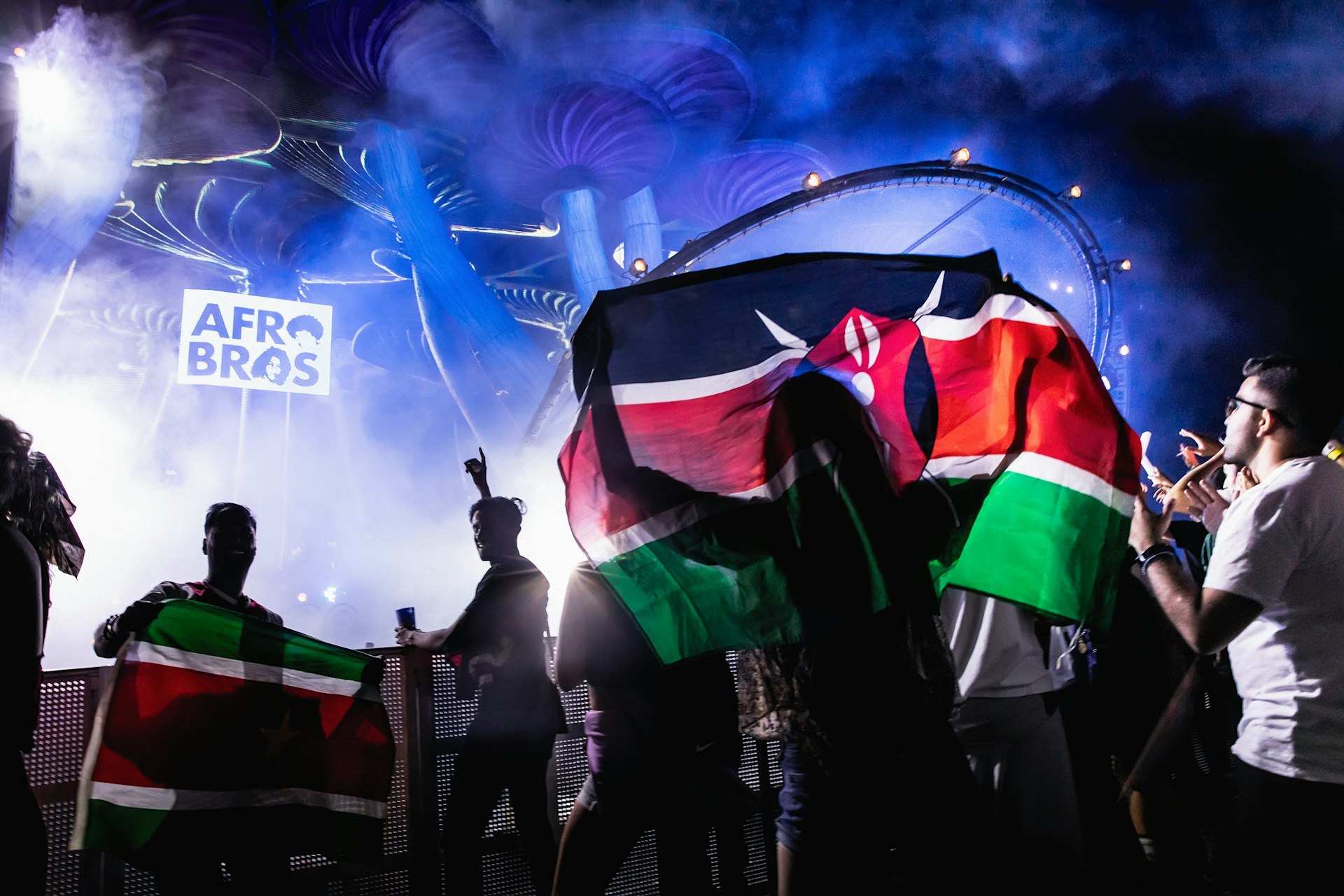 people holding flags